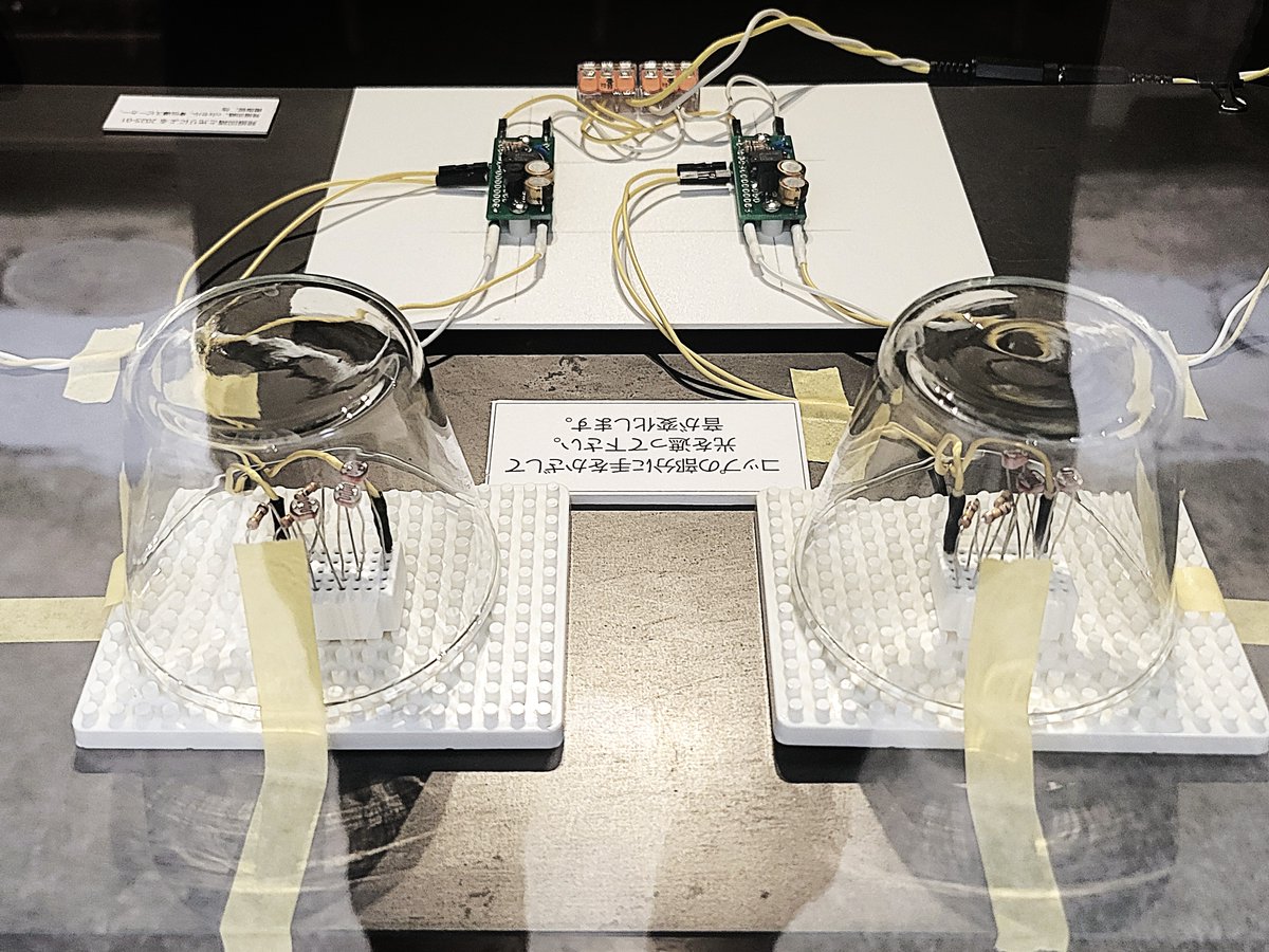 plus1art's tweet image. ＋２｜ミホリトモヒサ MIHORI Tomohisa｜10/8ー18｜日月火休廊
「コップに手をかざして光をさえぎってください。音が変化します。」
plus1art.jp/Ja_+2/+2CURREN…
#現代アート #現代美術 #音 #インスタレーション #電子回路