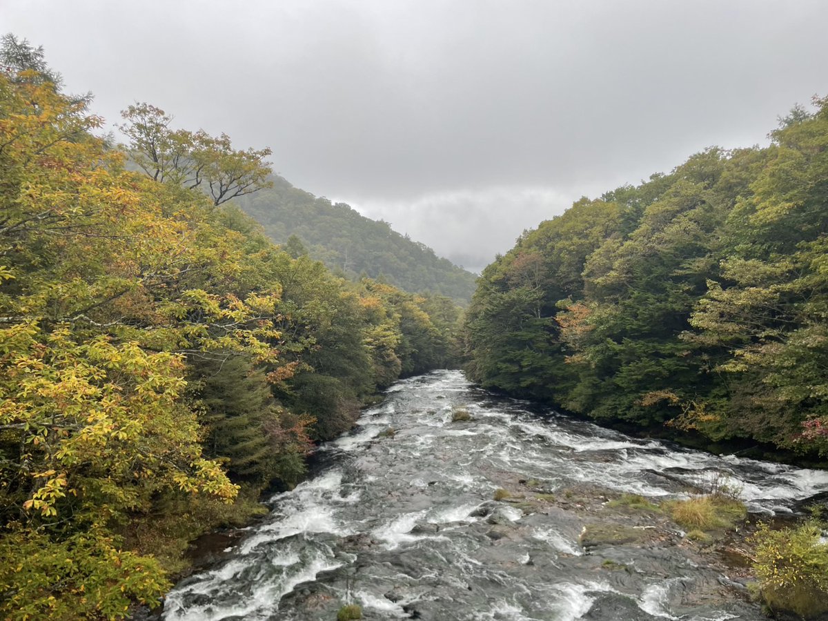 お待たせしました
日光の秋がそろそろ始まります🍁

※本日撮影
小田代ヶ原の草紅葉
竜頭ノ滝上

紅葉日光は東武で
日光紅葉夜行　tobu.co.jp/cms-pdf/news/2…
新型ハイグレードバスSPACIA X NIKKO CRUISERが紡ぐ早朝紅葉観賞の旅
tobu.co.jp/cms-pdf/news/2…
#日光 #紅葉 #竜頭ノ滝 #竜頭の滝 #小田代ヶ原