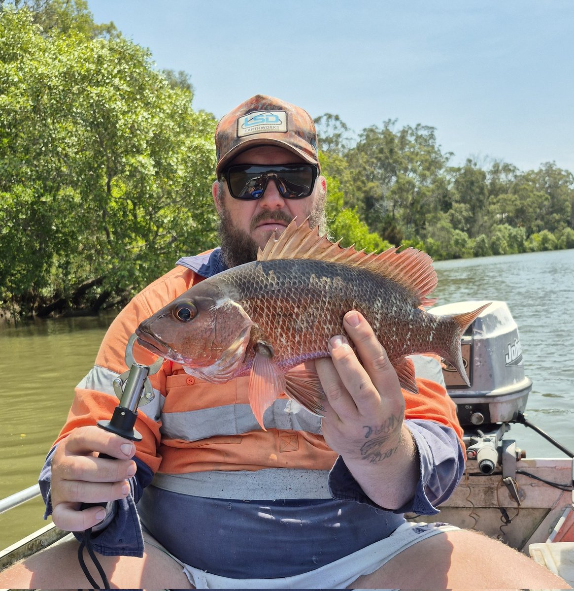 CanePigQLD's tweet photo. Finally, a few better jack getting around in the river with the water temp rising. #canepigqueensland #bloodyoath https://t.co/uz3uGJ48jr