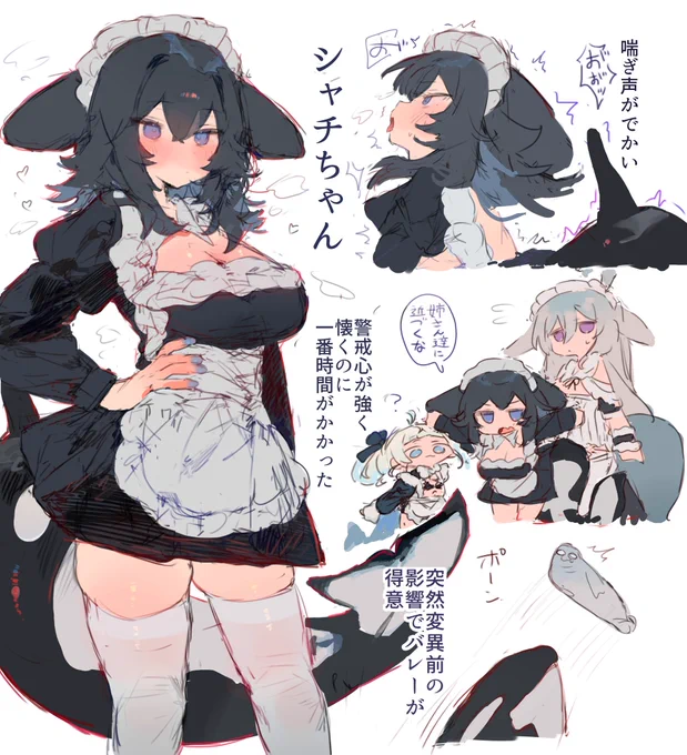 シャチちゃん 
