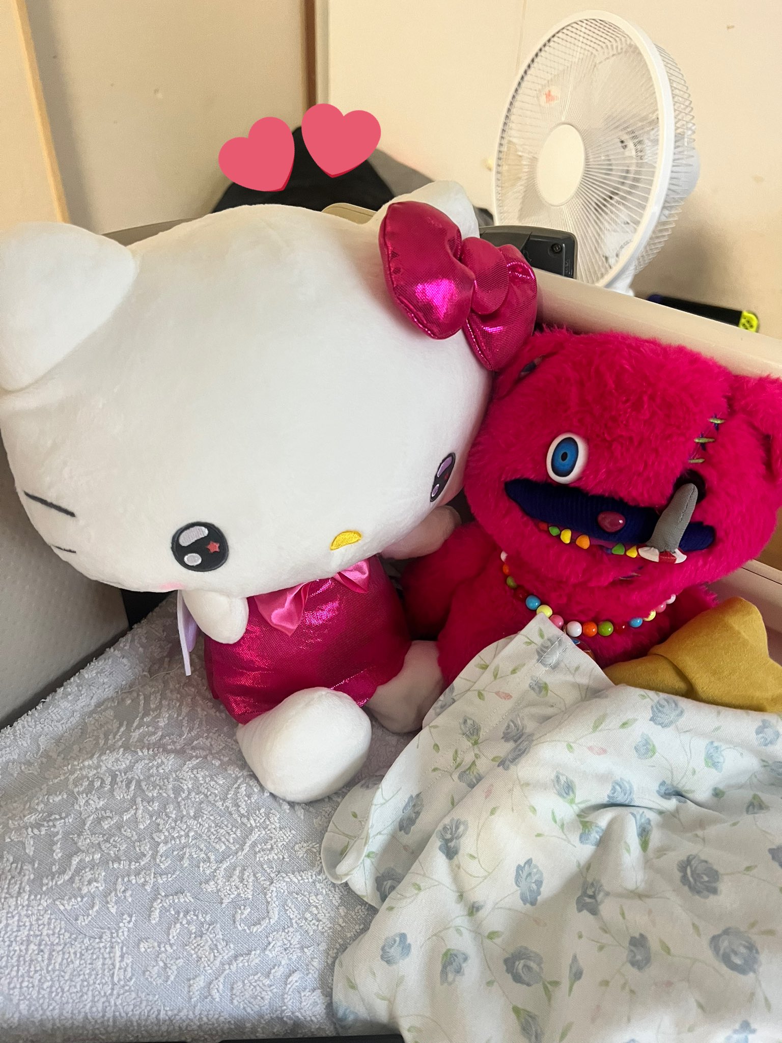 まめちゃん。 まめちゃん🌱 (@tamachankamoyo) / X