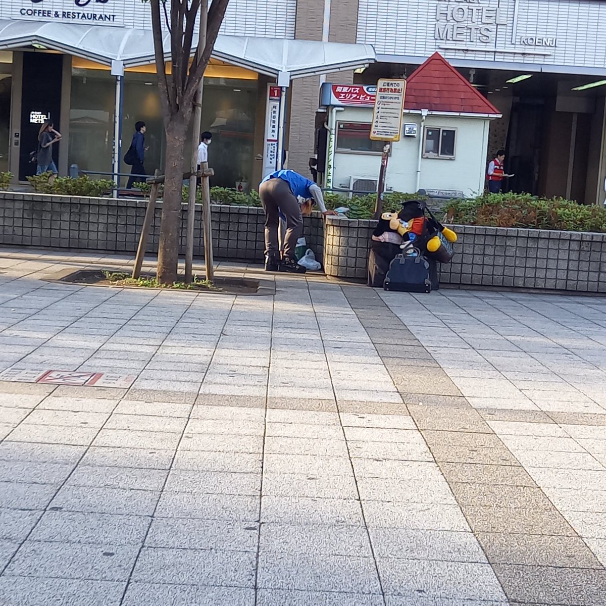 しげじぃ tweet media