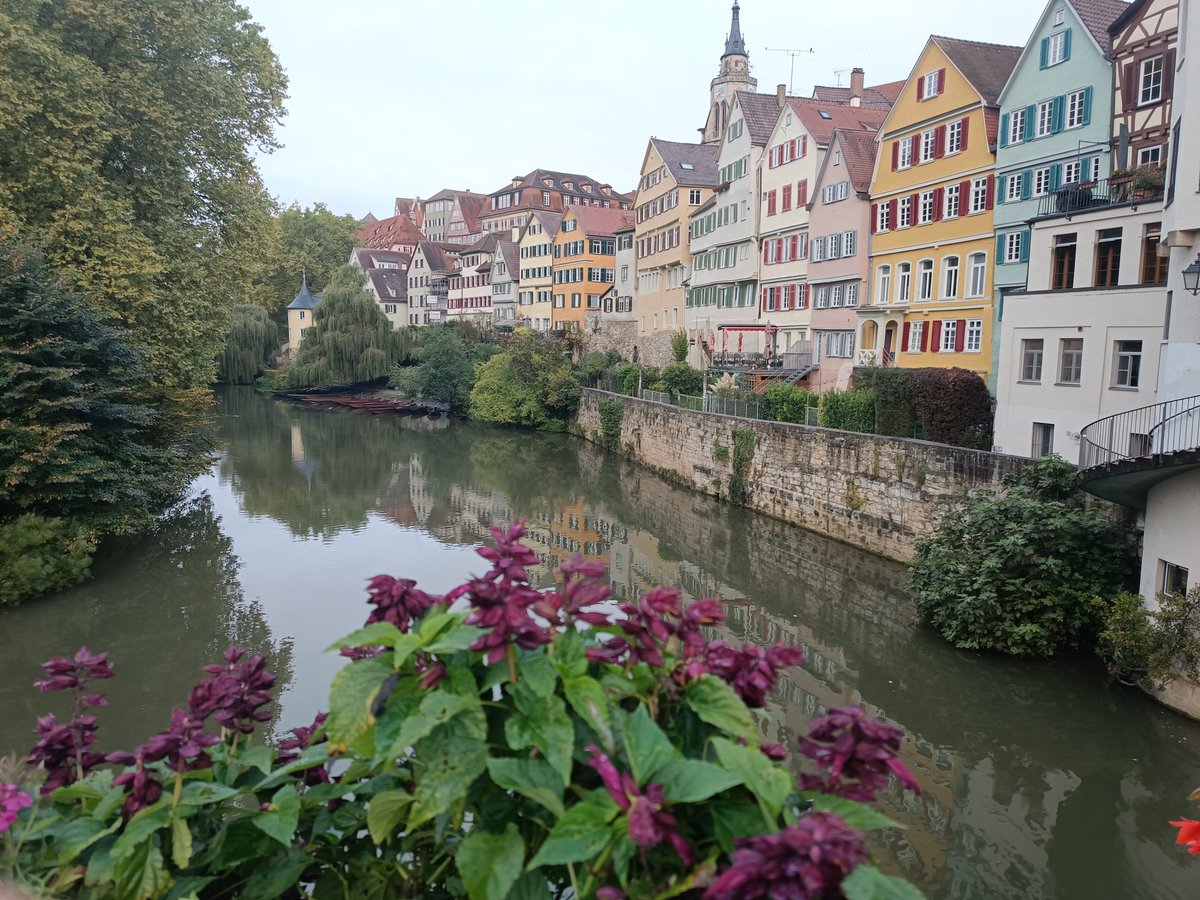 International Workshop on Retroviral Pathogenesis tweet media