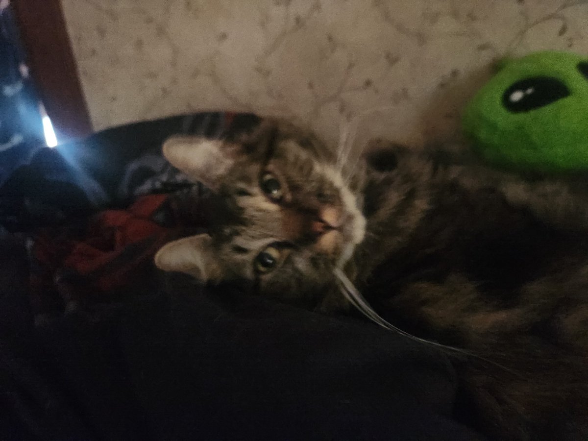 eldritchcatb0y's tweet photo. https://t.co/tF6IprHLzm