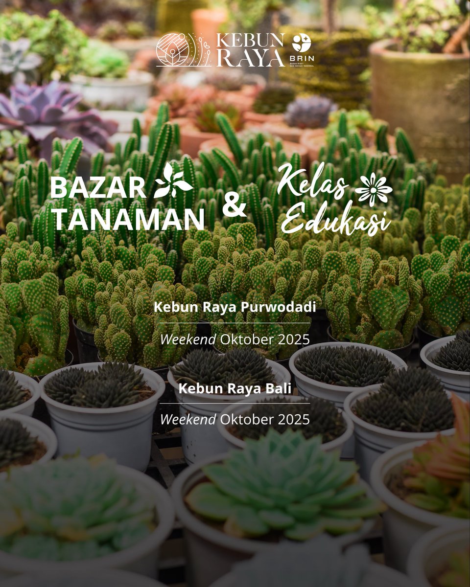 kebunraya_id's tweet photo. Hallo Teman #KebunRaya 👋🏼
Bulan Oktober ini, ada banyak aktivitas menarik yang bisa kamu ikuti di Kebun Raya Bogor, Cibodas, Purwodadi, dan Bali lho!
Mulai dari berbagai Kelas Edukasi seperti Kokedama, Ecoprint, dan Kultur Jaringan, hingga Bazar Tanaman yang berlangsung di akhir pekan
Psst Jangan lewatkan juga kehadiran Kebun Raya di FLOII Expo 2025 di ICE BSD City pada 23–26 Oktober 2025! 🤫
Yuk, rencanakan kunjunganmu dan nikmati pengalaman seru di Kebun Raya!
#AyoKeKebunRaya #KebunRayaBogor #KebunRayaCibodas #KebunRayaPurwodadi #KebunRayaBali #BotanicalGardens
