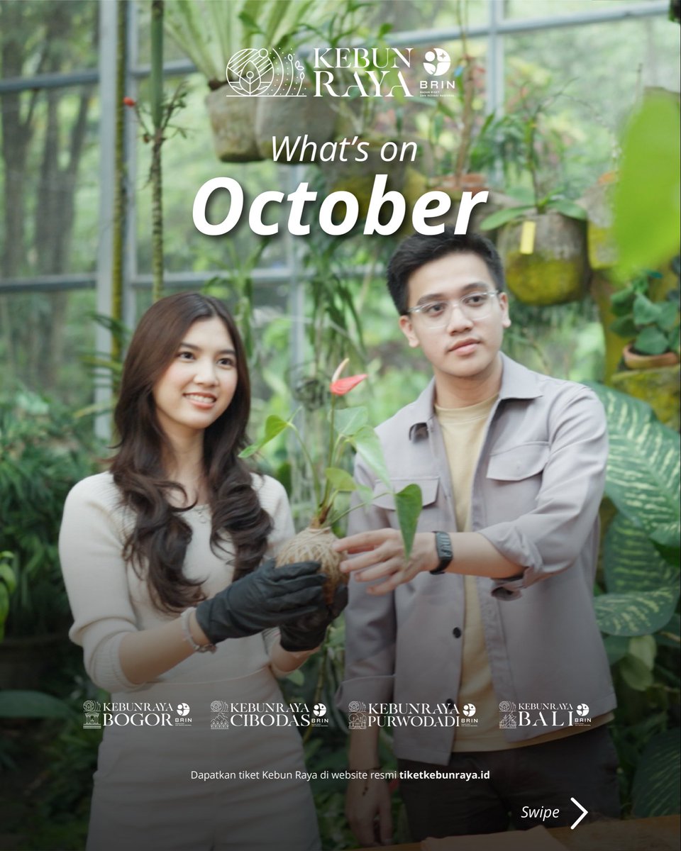 kebunraya_id's tweet photo. Hallo Teman #KebunRaya 👋🏼
Bulan Oktober ini, ada banyak aktivitas menarik yang bisa kamu ikuti di Kebun Raya Bogor, Cibodas, Purwodadi, dan Bali lho!
Mulai dari berbagai Kelas Edukasi seperti Kokedama, Ecoprint, dan Kultur Jaringan, hingga Bazar Tanaman yang berlangsung di akhir pekan
Psst Jangan lewatkan juga kehadiran Kebun Raya di FLOII Expo 2025 di ICE BSD City pada 23–26 Oktober 2025! 🤫
Yuk, rencanakan kunjunganmu dan nikmati pengalaman seru di Kebun Raya!
#AyoKeKebunRaya #KebunRayaBogor #KebunRayaCibodas #KebunRayaPurwodadi #KebunRayaBali #BotanicalGardens