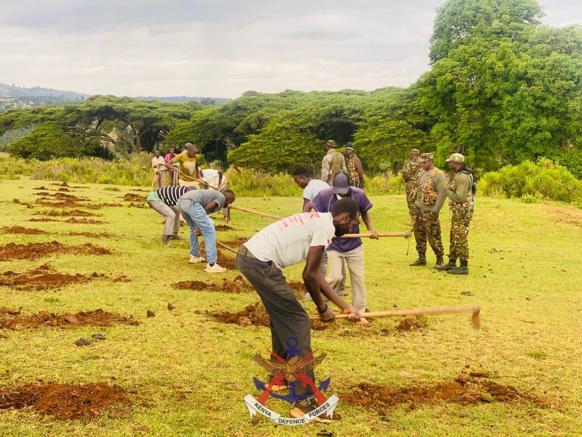 kdfinfo's tweet photo. Kenya Defence Forces (KDF) personnel in collaboration with the National Police Service (NPS) and members of the local community from Karandi and Tandare areas of Laikipia County planted over 10,000 trees in a joint environmental conservation initiative. The exercise forms part of the build-up activities towards the upcoming Mazingira Day celebrations, which will be held at Ngarachi Primary School and graced by the Cabinet Secretary for Defence, Hon. Soipan Tuya. See more: https://t.co/zzF3DyHIT2
