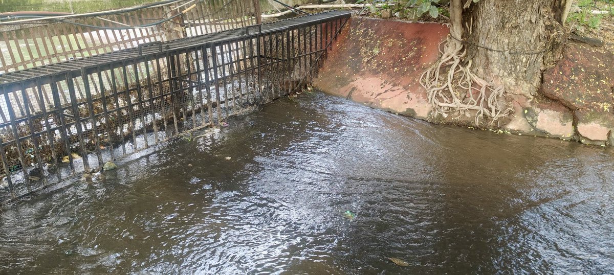 INS_Vishwakarma's tweet photo. 🌟 Clean Habits, Green Future! 🌿
As part of #SwachhataSpecialCampaign5.0, #INS_Vishwakarma executed cleanup drive at Unit storm water drain #CleanlinessTargetUnit—inspiring collective action towards cleaner, healthier, & sustainable environment. 💧
#SwachhataHiSeva
#CleanIndia https://t.co/8NOwuvgwT4