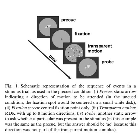 Attention modulates perception of transparent motion.
"performance in detecting one direction in a multiple direction stimulus might be limited by the ability to separate adjacent motion directions"
sciencedirect.com/science/articl…