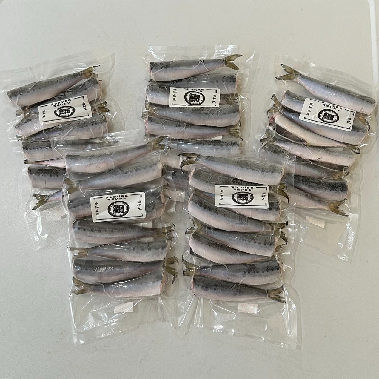 へんおじ へんな魚おじさんの寝言【Weird Fish Dude & Beard Brother