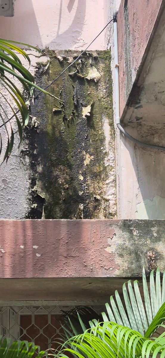 chennaipetro's tweet image. Before &amp;amp; After – Witness the transformation! Our campaign sites are getting a facelift. Stay tuned for visuals of our Swachhata efforts. #SpecialCampaign5.0 #Enhancement of Office Premises

@PetroleumMin 
@DARPG_GoI