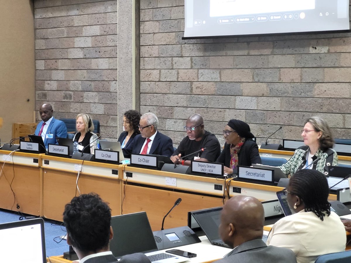 UNEP_Africa's tweet photo. Africa is stepping forward for a mercury-free future. 🌍

“Africa must lead — in science, regulation and innovation — to protect our people and planet.”— Fatou Ndoye, UNEP Africa Office’s Deputy Director.

Speaking at the Africa Regional Preparatory Meeting for #COP6 of the #MinamataConvention (7–9 Oct 2025, UN Gigiri Complex, Nairobi 🇰🇪), where African nations are aligning priorities, sharing knowledge, and strengthening collective action to end mercury pollution.

#Africa #MercuryFreeFuture