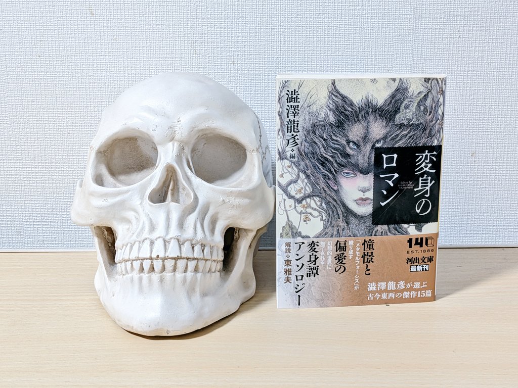 青蓮📚読書時々創作 on X