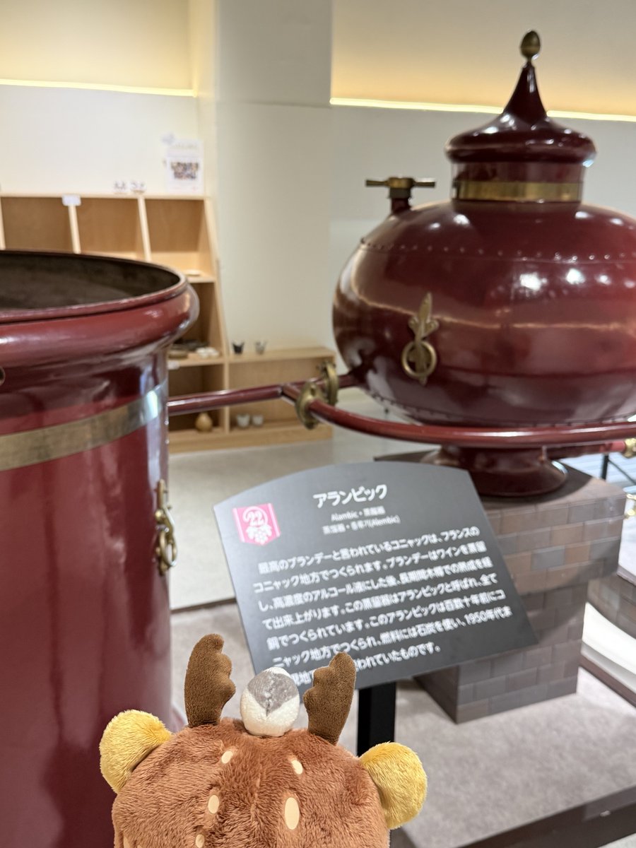 キュンちゃん【公式】 on X