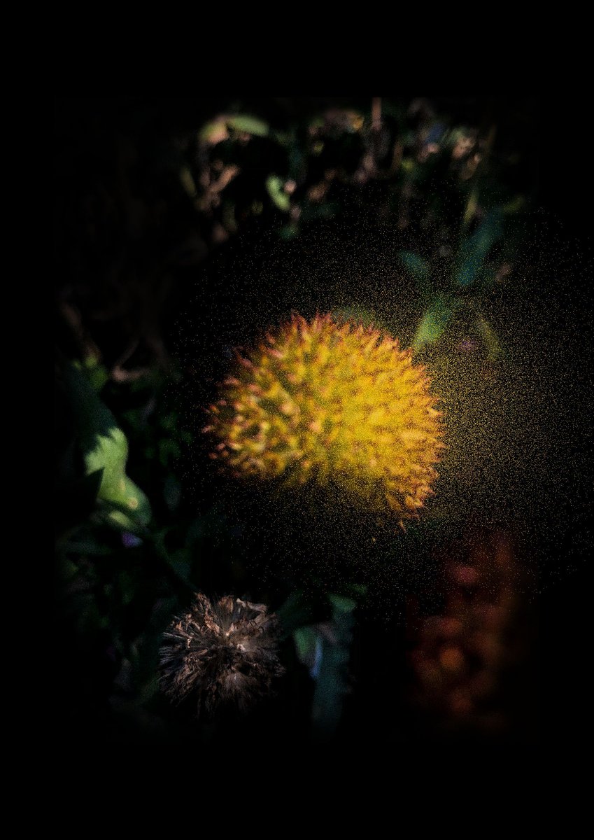 creativemorning's tweet image. Check out more creative works inspired by this month's theme SOFT on the #CreativeMornings blog buff.ly/0VlIdMp #CMsoft