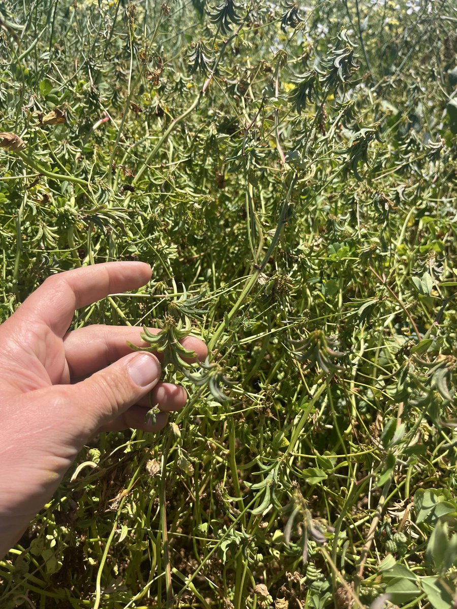 Nick Eyres (@eyres_n) on Twitter photo 