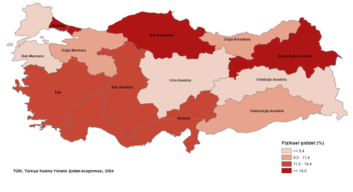TÜİK'in açıkladığı Kadına Yönelik Şiddet Araş. göre, fiziksel şiddetin en fazla olduğu bölge Kuzeydoğu Anadolu B., en düşük olduğu bölge ise Ortadoğu Anadolu B. (Bingöl, Erzurum, Erzincan, Ağrı, Ardahan, Iğdır, Kars, Malatya, Muş, Bitlis, Elazığ, Tunceli, Van, Hakkari) oldu.