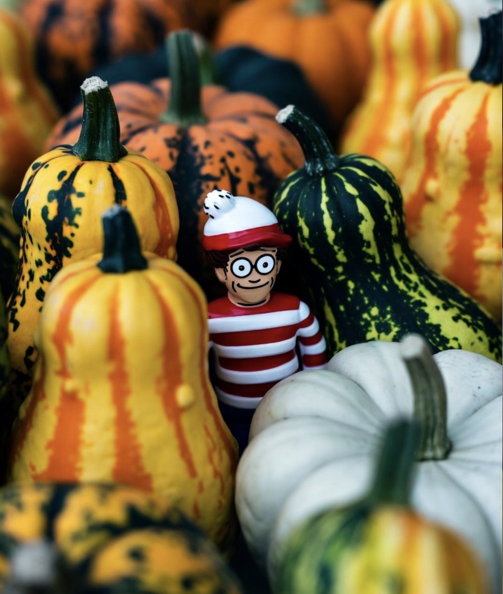 Goat In the Water tweet media