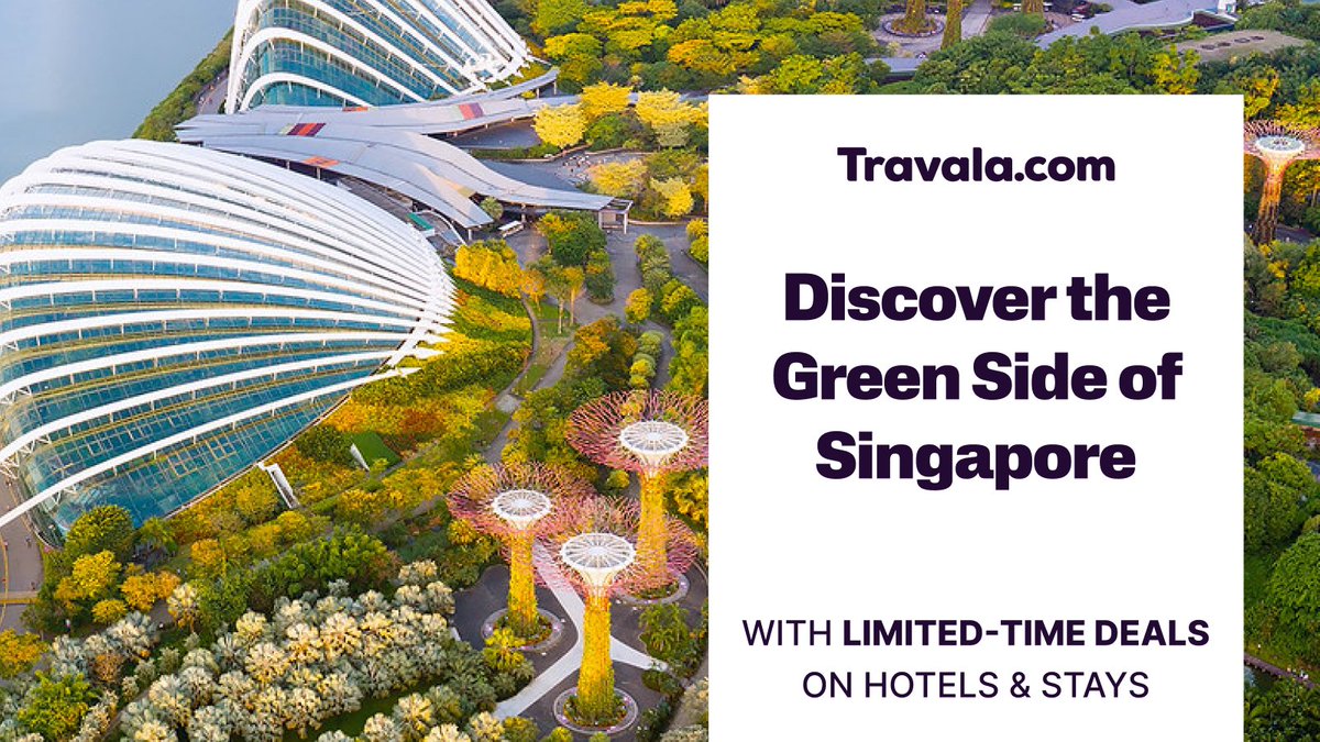Fun Fact: Despite its famous skyline, nearly half of Singapore's land is covered in green space!🌳

Explore the iconic Gardens by the Bay or get lost on the treetop walks of the MacRitchie Reservoir

Enjoy limited-time hotel deals, available all month!
 👉 bit.ly/4gQBlKv