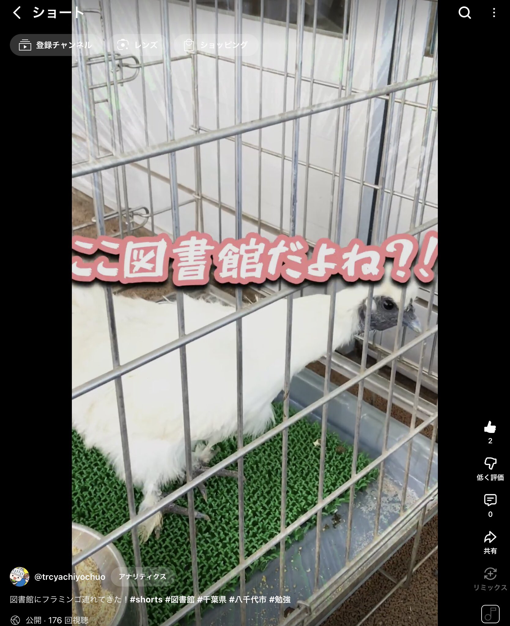 スクールランブル 塚本八雲 原画 動画 修正 レイアウト タイムシート等 CD スクールランブル 塚本八雲｜Yahoo!フリマ（旧PayPayフリマ）