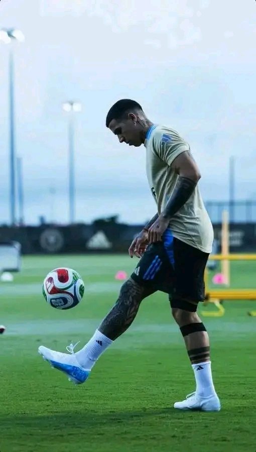 𝒍𝒊𝒍𝒄𝒉𝒊𝒃𝒘𝒊𝒃𝒘𝒊 𝑫𝒂 𝒗𝒊𝒏𝒄𝒊 tweet media