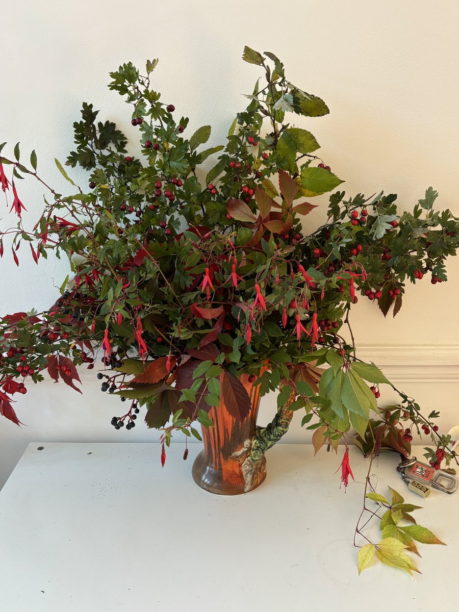 W1mum's tweet photo. Autumn display https://t.co/MyPPZRbZ64