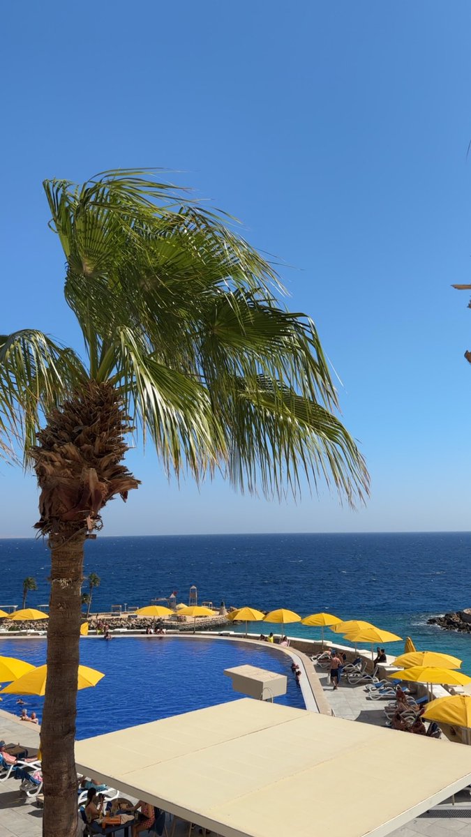 daniel_r36's tweet photo. Wieder einmal eine schöne Reise gehabt mit @travalacom @AVAFoundation🏖️.
Dann planen wir mal langsam die nächste. Vielleicht ein Kurztrip in die Nachbarländer👌 https://t.co/PqACspOSbm
