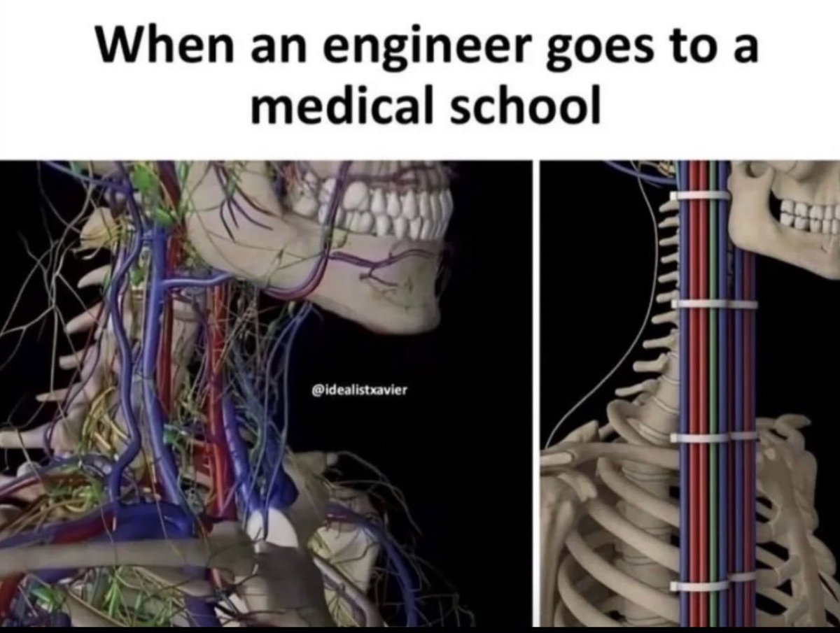harshh1709's tweet image. Anatomy according to AutoCAD…Optimized for efficiency. Reduced biological clutter by 87%
#EngineerHumor #STEMHumor #AutoCAD #MedSchoolMemes #TechVsBi