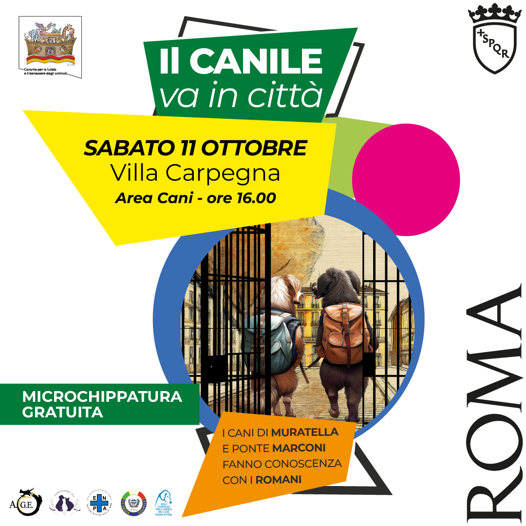 Roma's tweet photo. 🐕Sabato 11 ottobre, torna “ Il canile va in città’ ”: i cani della #Muratella e di #PonteMarconi sfileranno a Villa Carpegna a partire dalle ore 16. Prevista la partecipazione di #AndreaRivera.
Info 👉🏻 https://t.co/x1DihlSx80 https://t.co/jRpiuEtPMJ
