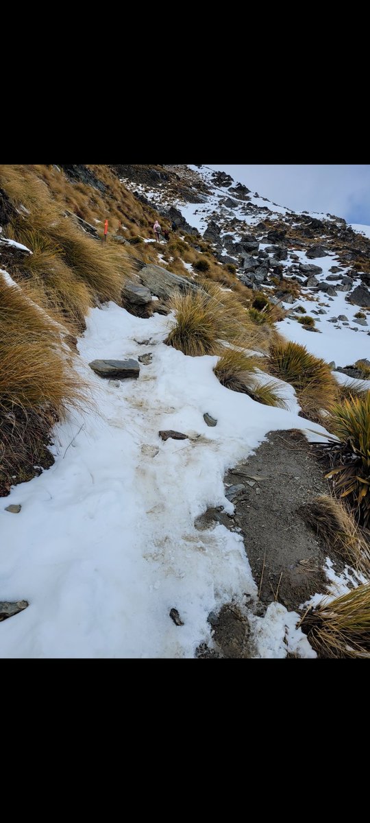 Climbed a hill today