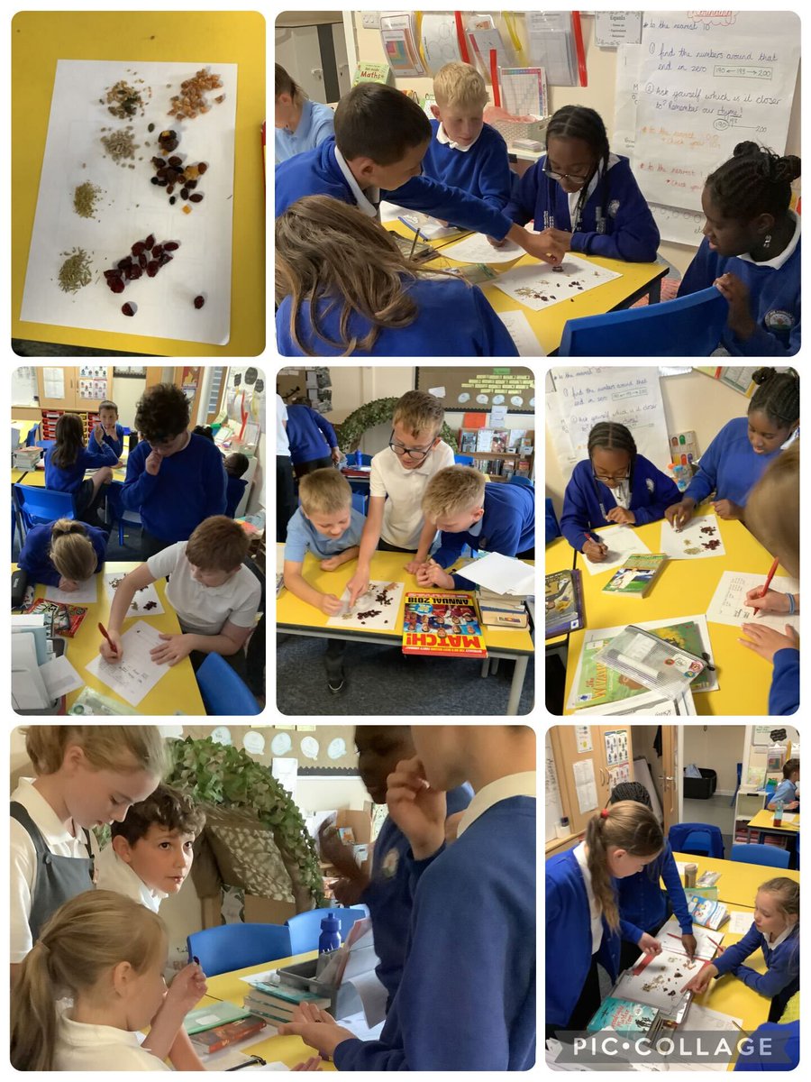 SharpLaneLeeds's tweet image. 🥖🍞🫓 Lewis Class had a great time taste testing ingredients to add to their bread in DT! 👩🍳✨ Lots of happy faces and creative flavour ideas!
#SharpLaneSchool #DesignTechnology #CreativeCurriculum