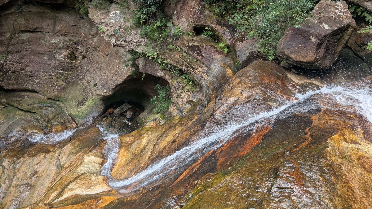 Dave Jones tweet media