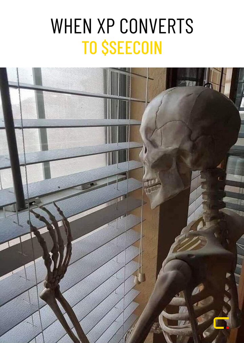 seecoin_io's tweet image. Me waiting for my XP to become $seecoin … 
Caption it. 
#seecoinXP #decentralizedfuture