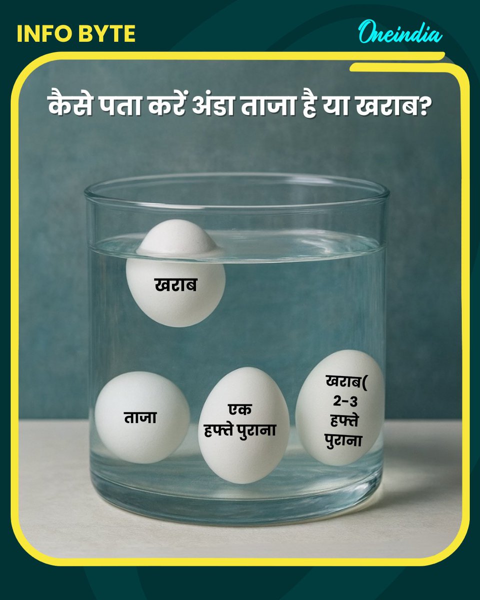 oneindiaHindi's tweet image. कैसे पता करें अंडा ताजा है या खराब?

#EggHack #KitchenTips #FoodSafety #LifeHack #HealthyEating #InfoBytes