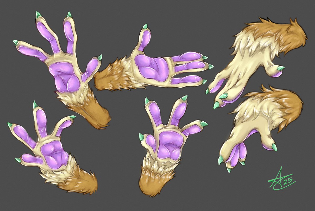 ARICAT98's tweet image. fluffy and slim hands