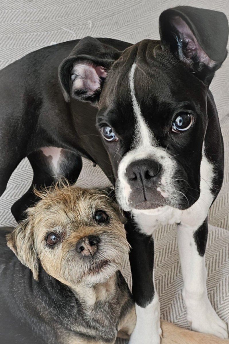 Ted, dat Lexi🌈 & Skye tweet media