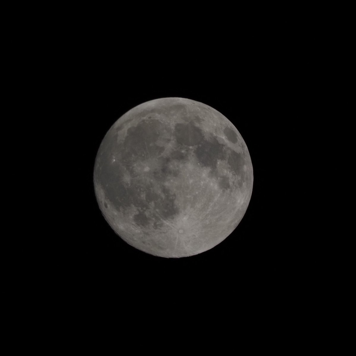 snpub156928's tweet image. 