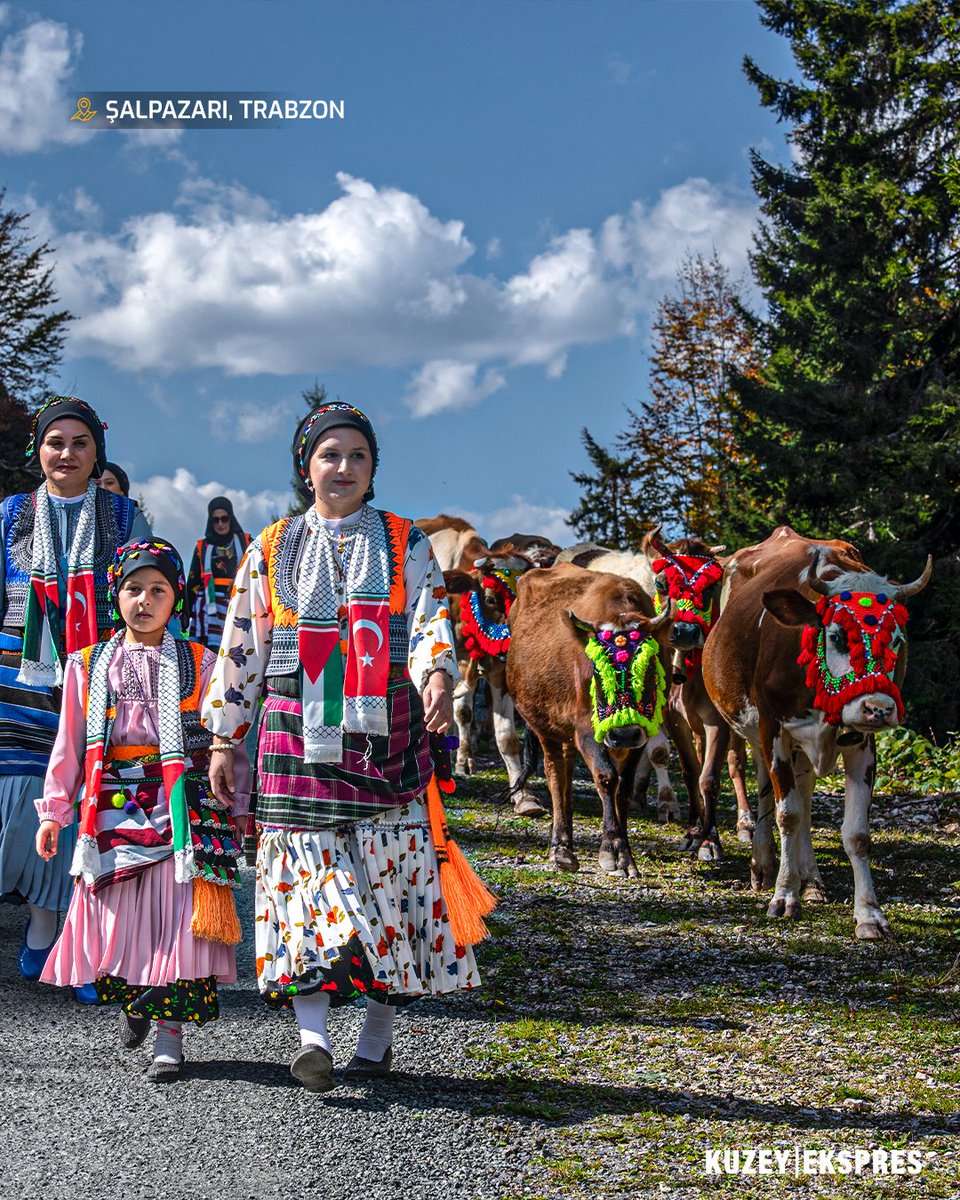 Kuzeyekspres61's tweet photo. Her tonuyla bambaşka güzel.

📍Şalpazarı | Trabzon ❤️ https://t.co/gR0sb7MC6Z