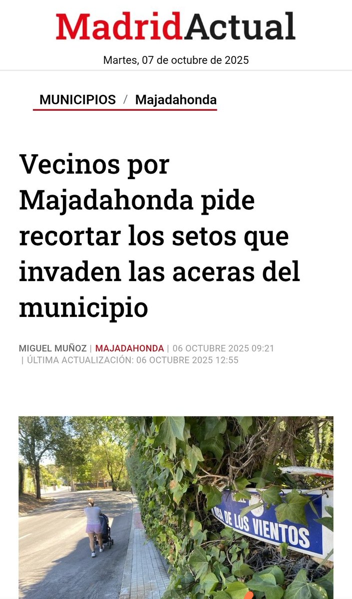 Vecinos por Majadahonda pide recortar los setos que invaden las aceras del municipio 
madridactual.es/municipios/maj…