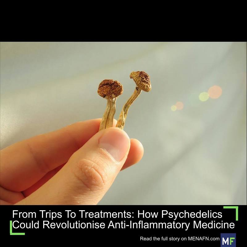 MENAFN's tweet image. From Trips To Treatments: How Psychedelics Could Revolutionise Anti-Inflammatory Medicine #Trips #Treatments: #Psychedelics #Revolutionise #Anti-Inflammatory #Medicine #Vaccines #Pills #Doctor #Hospital #Pandemic dlvr.it/TNWkly