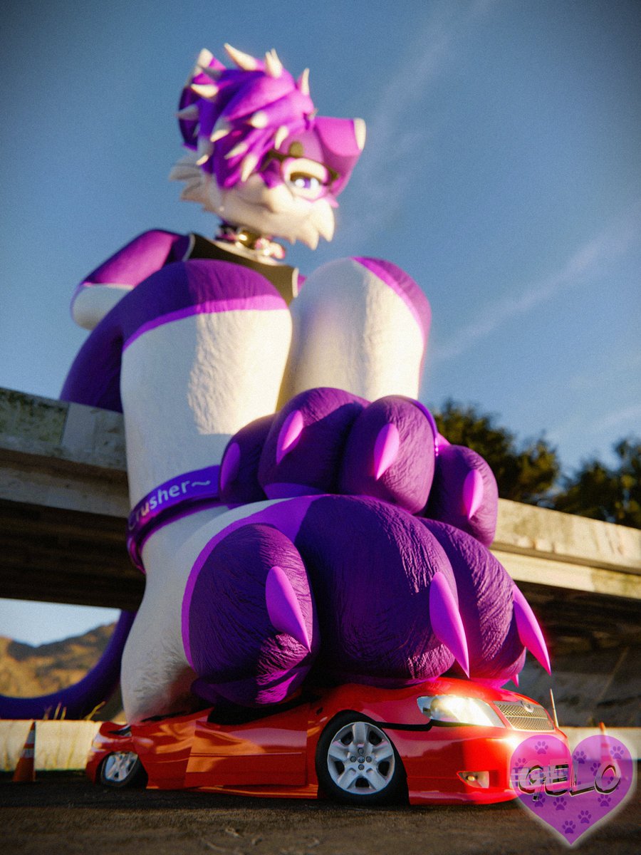 GrapeDoggo's tweet image. This car feels really nice under my paws!~