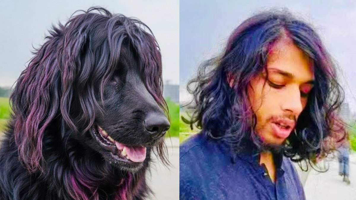 Real DOGS'r here! 
#BangladeshiDogs