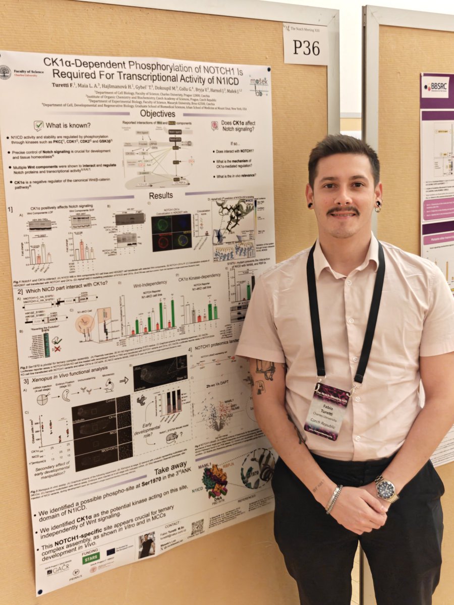 Daniel V. Oliveira tweet media