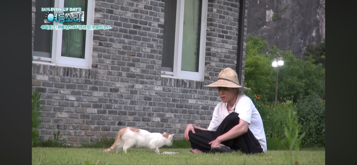 처음에 저장한 데이식스 사진 이거임,,
그것도 캡쳐한ㅎㅎㅎ
내가 좋아하는 고앵이랑 같이 있는 원푸리..🩵