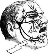 leo_veritas's tweet image. La neuralgia del trigémino no avisa. Solo llega y te arranca el alma por la mandíbula. 
 #Diainternacionalneuralgiatrigemino
#trigeminalneuralgiaawarenesday