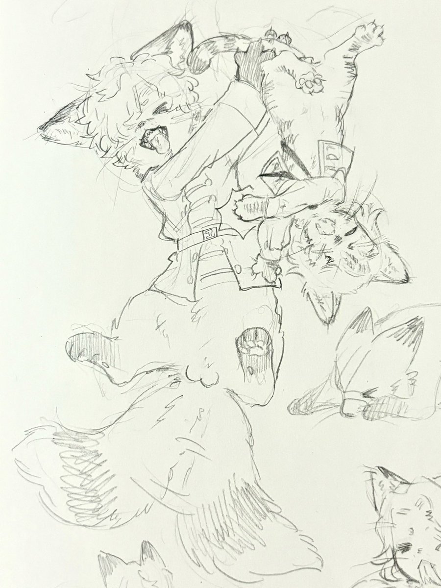 zhhtyr's tweet image. #florimatt