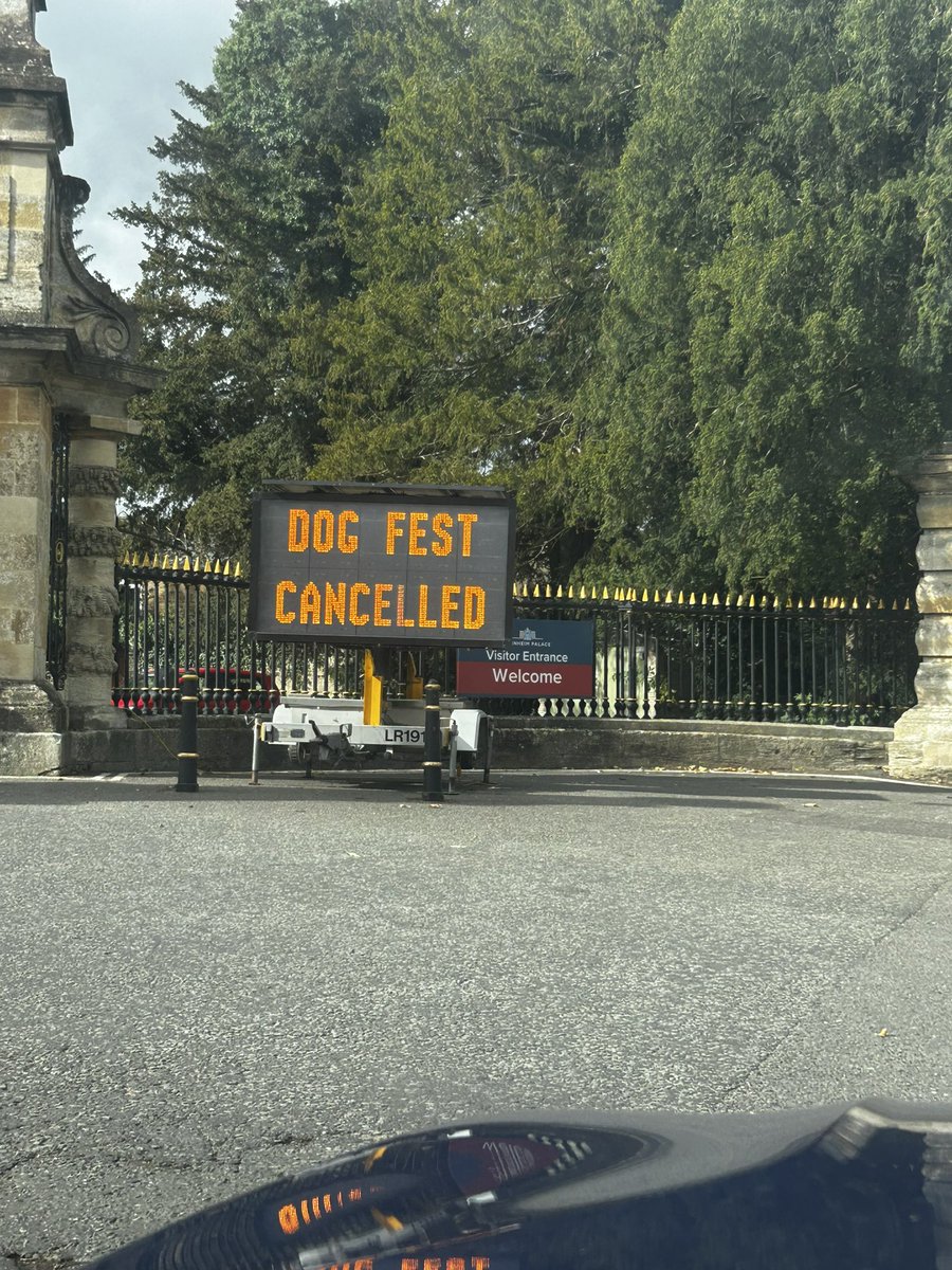 📀ＳＱＵＩＳＨ　ＨＯＵＮＤ📀 tweet media