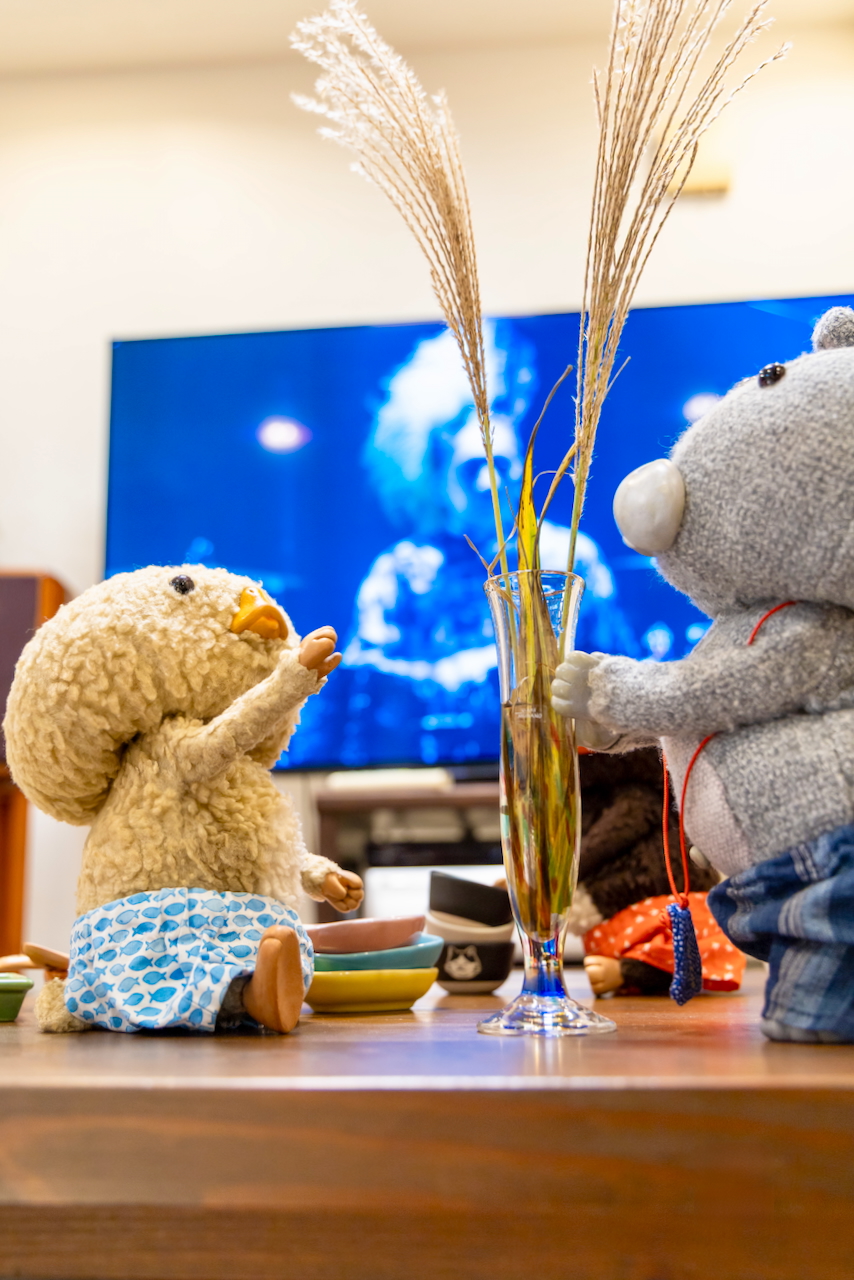 刹那 プロフ必読 Z/X -Zillions of enemy X- ネクサス