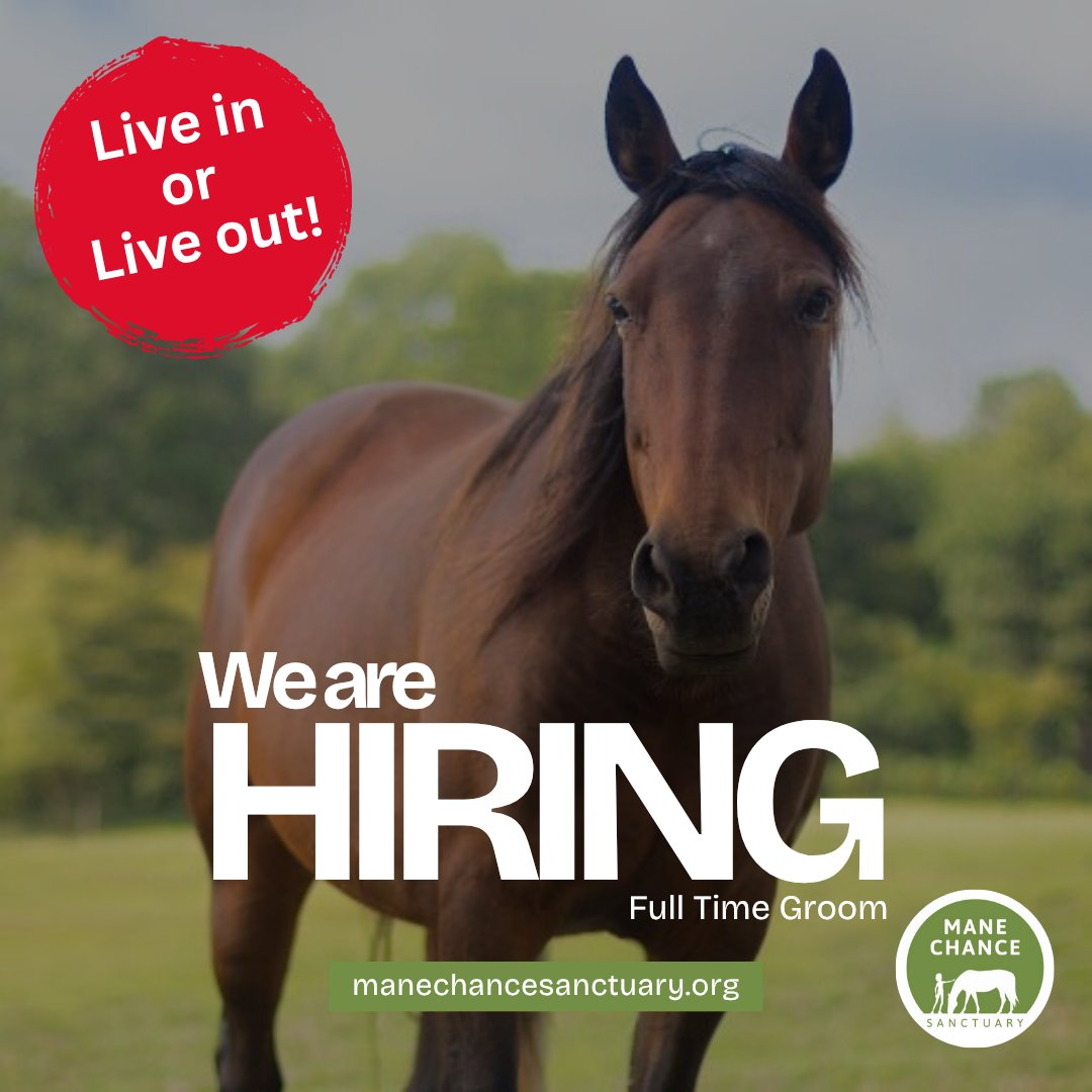 Do you have experience with horses and a passion for animal welfare? We’re looking for a full-time groom to join our dedicated team at Mane Chance Sanctuary.  This job is offered either with accommodation or as live out.
1/3 #Hiring #Surrey #EquineJobs