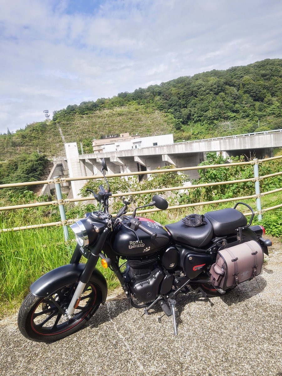 ねここねこ on X